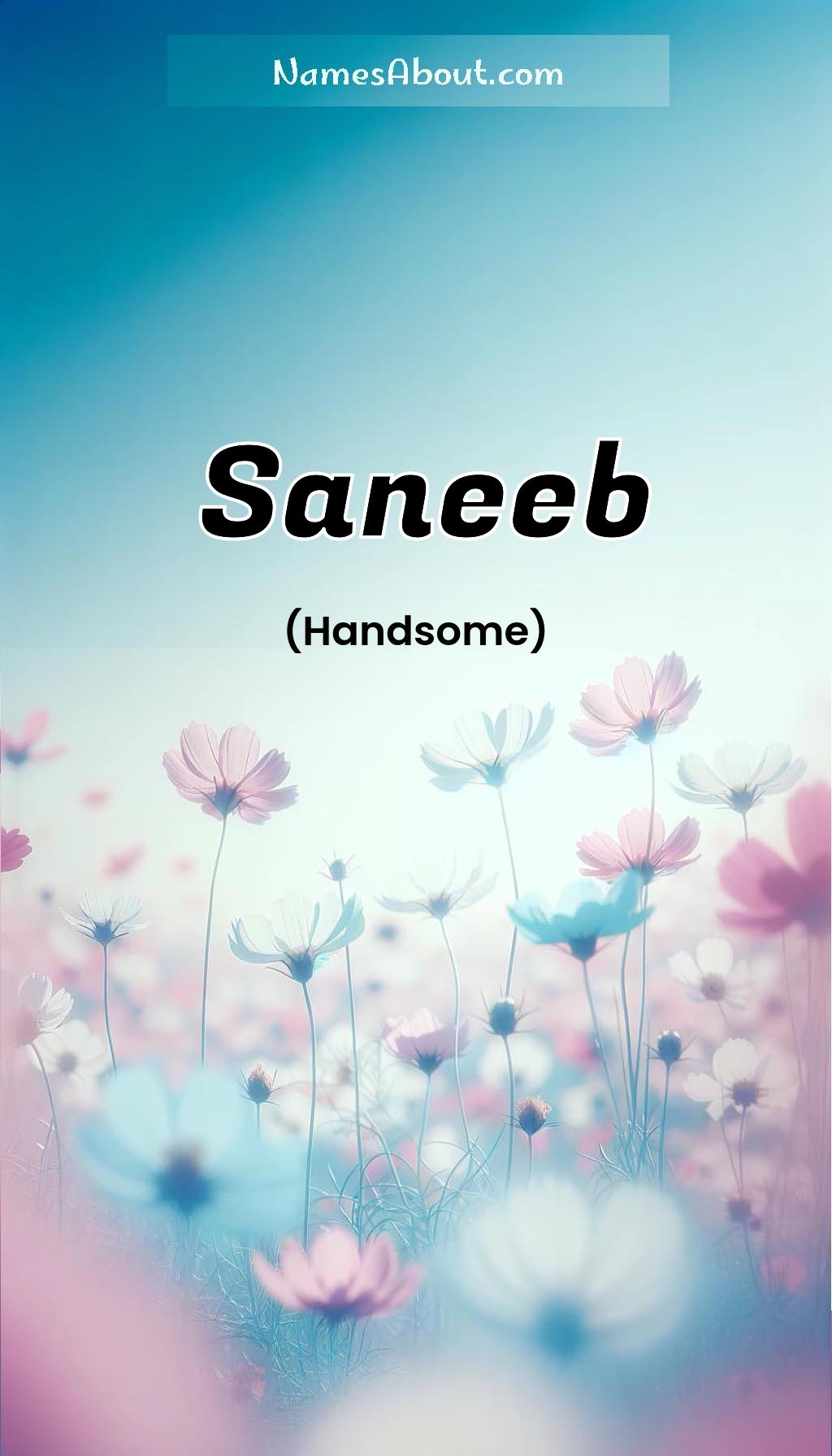 Saneeb name and meaning