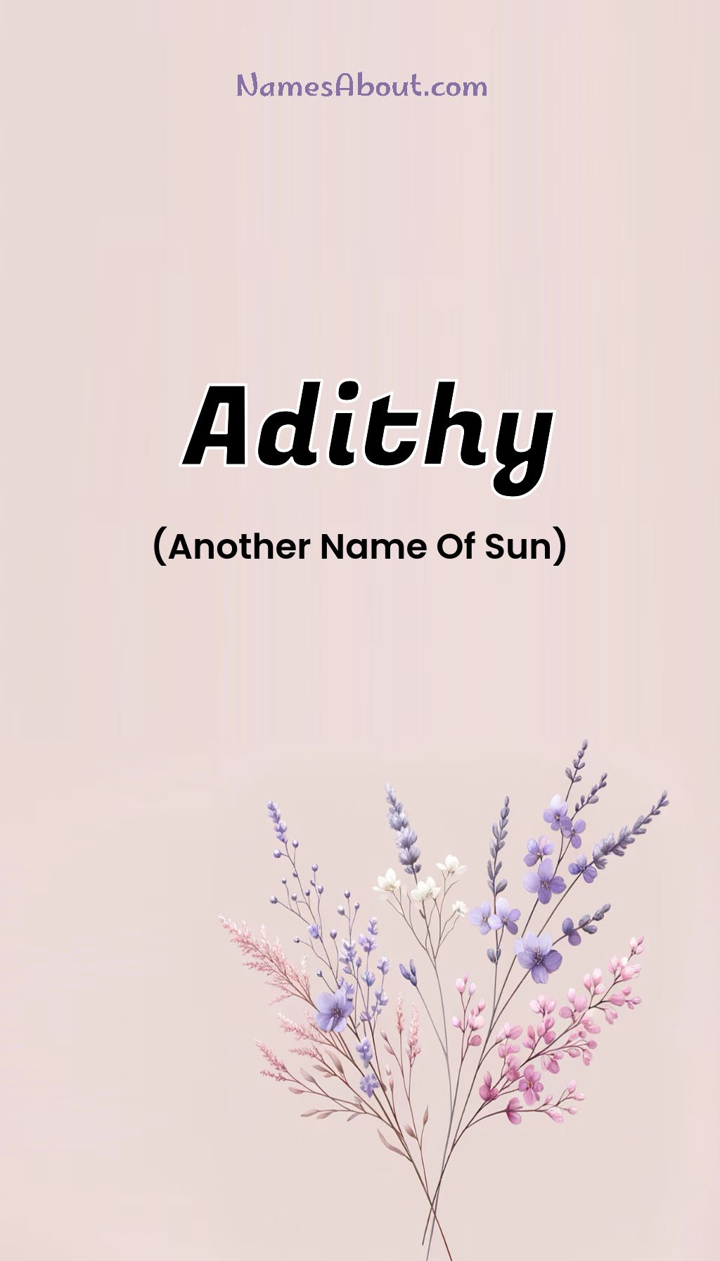 Adithy name and meaning