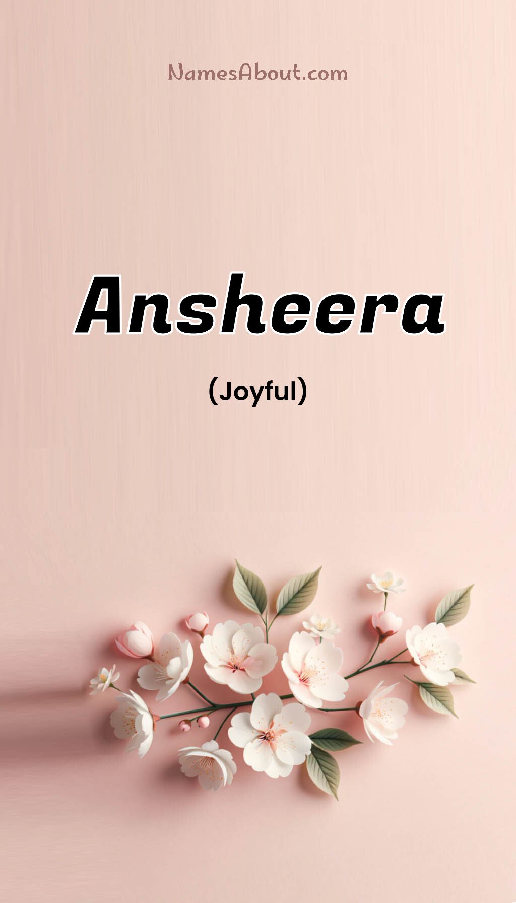 Ansheera name and meaning