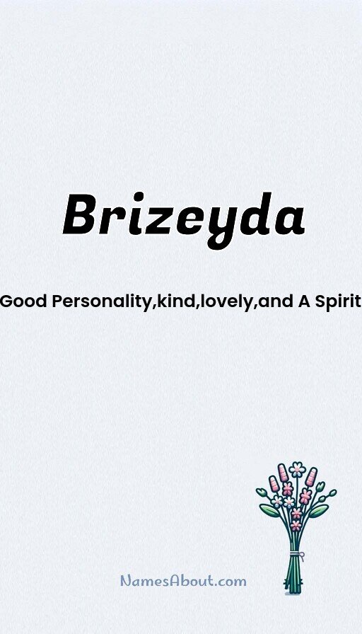 Meaning of Brizeyda