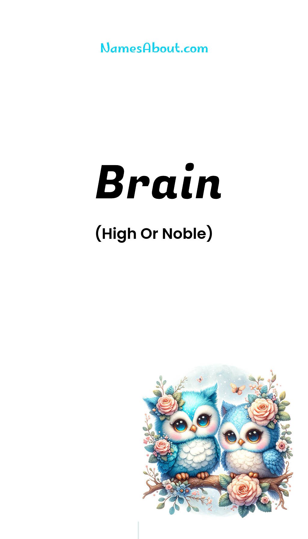 Brain name and meaning