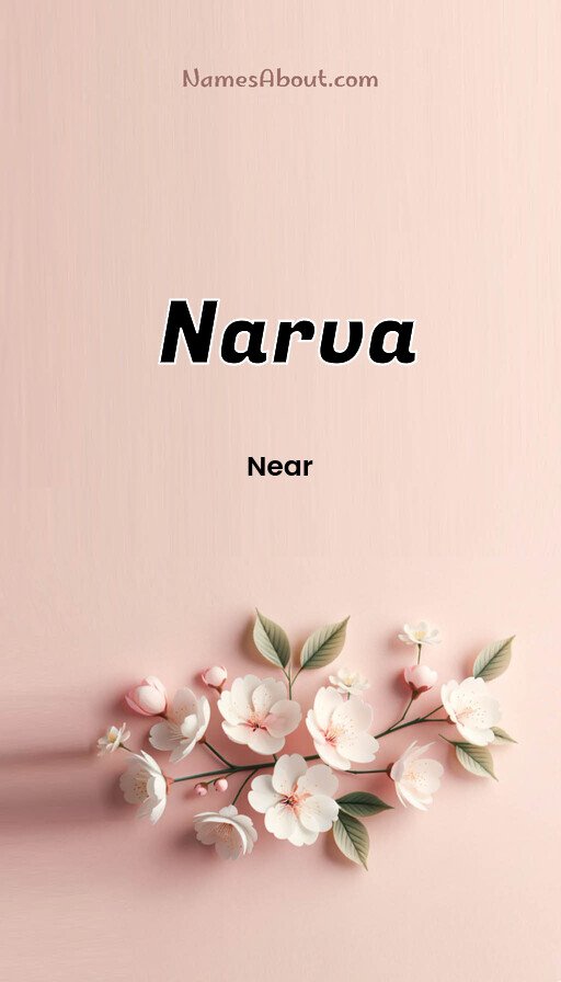Meaning of Narva