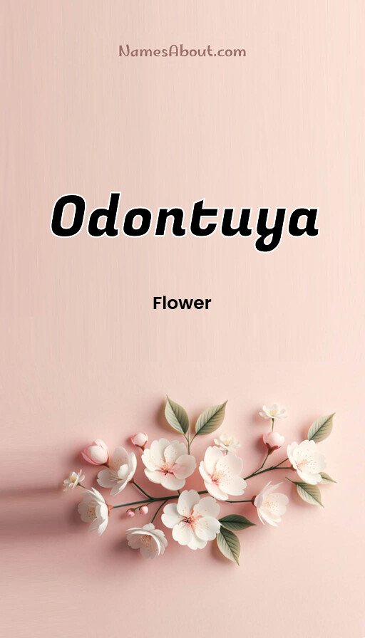 Meaning of Odontuya