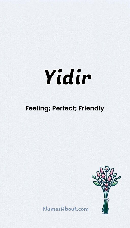Meaning of Yidir