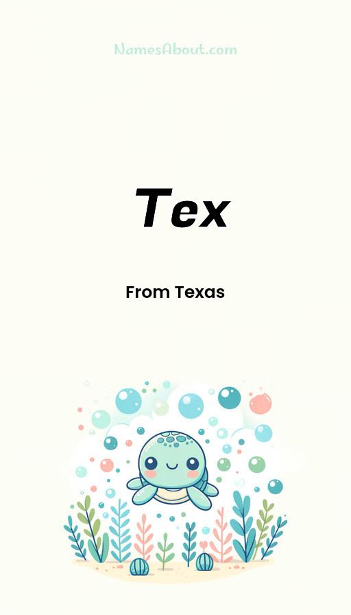 Illustration of Tex