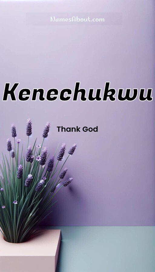 Meaning of Kenechukwu