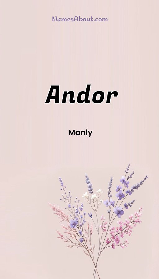 Meaning of Andor