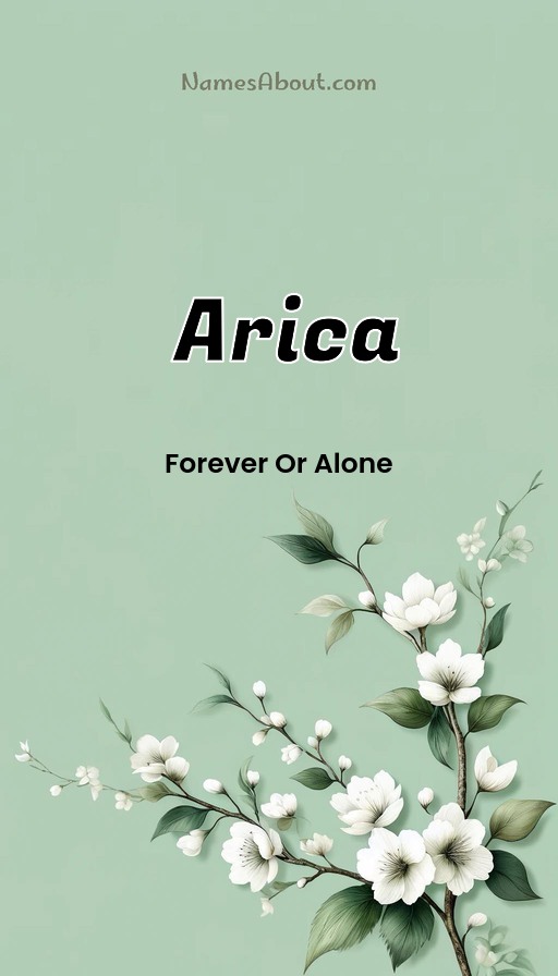 Meaning of Arica