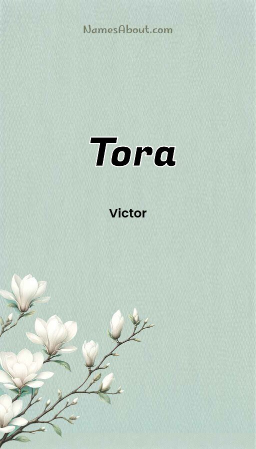 Meaning of Tora