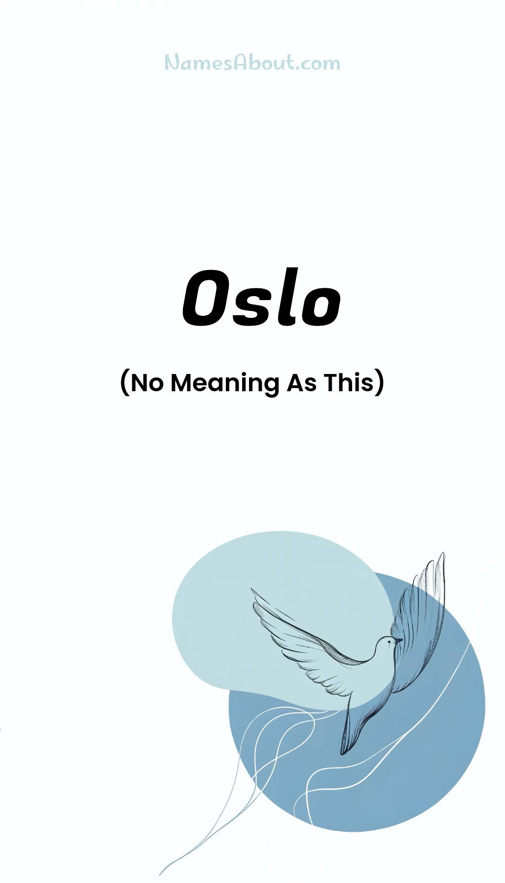 Oslo name and meaning