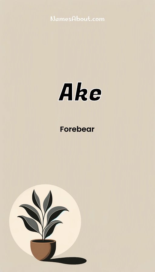 Meaning of Ake