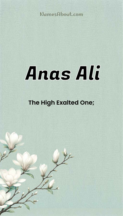 Meaning of Anas ali
