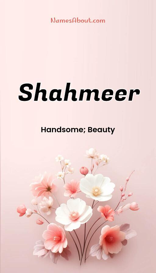 Shahmeer name and meaning