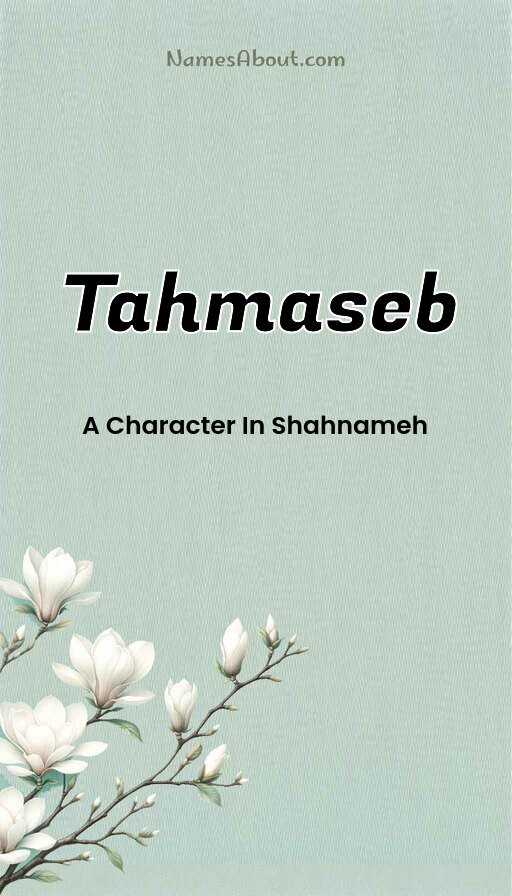 Meaning of Tahmaseb