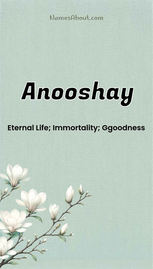 Meaning of Anooshay