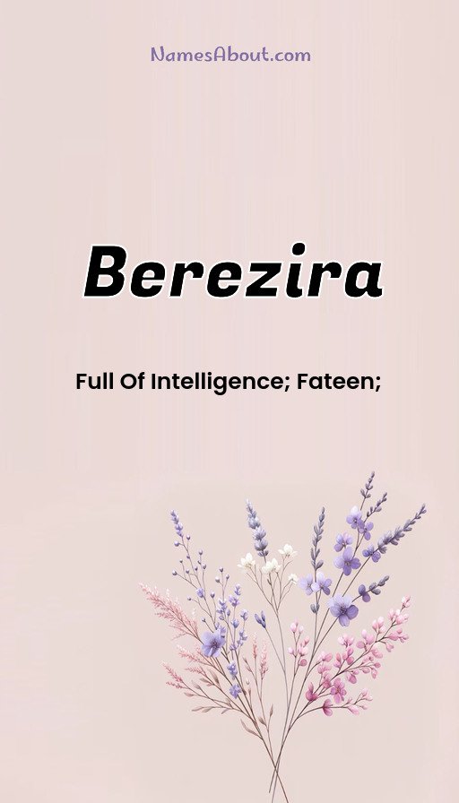 Meaning of Berezira