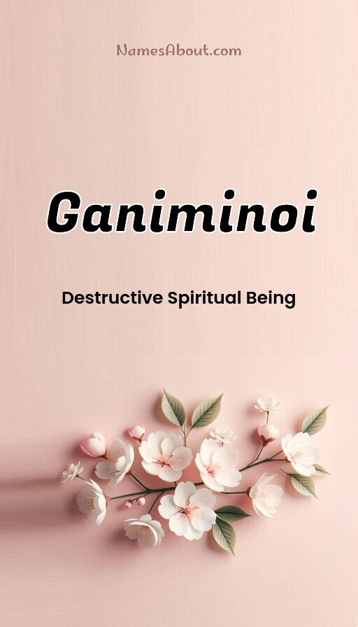 Meaning of Ganiminoi
