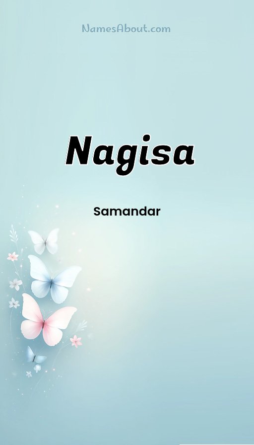 Meaning of Nagisa