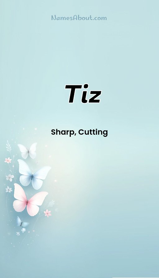Meaning of Tiz