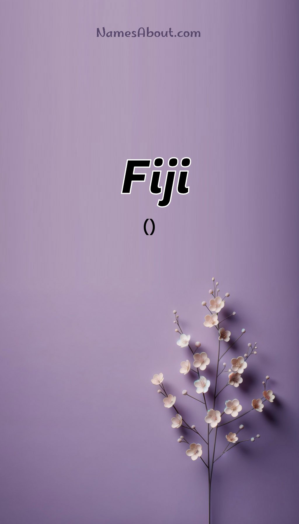 Fiji name and meaning