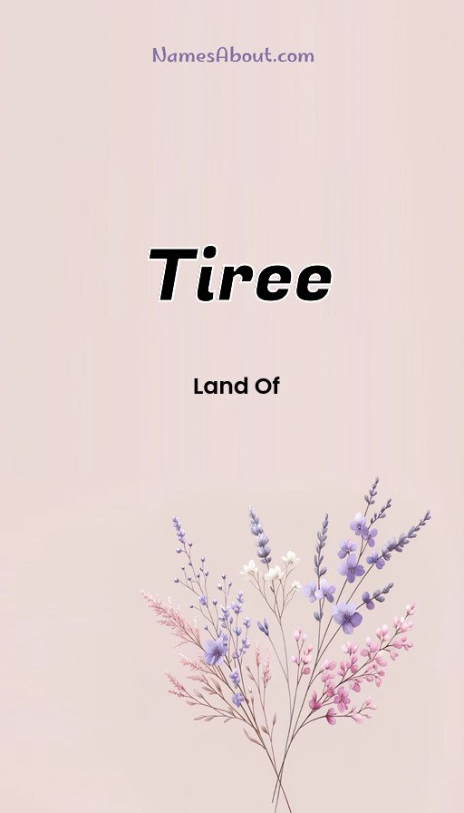 Meaning of Tiree