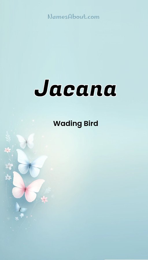 Meaning of Jacana