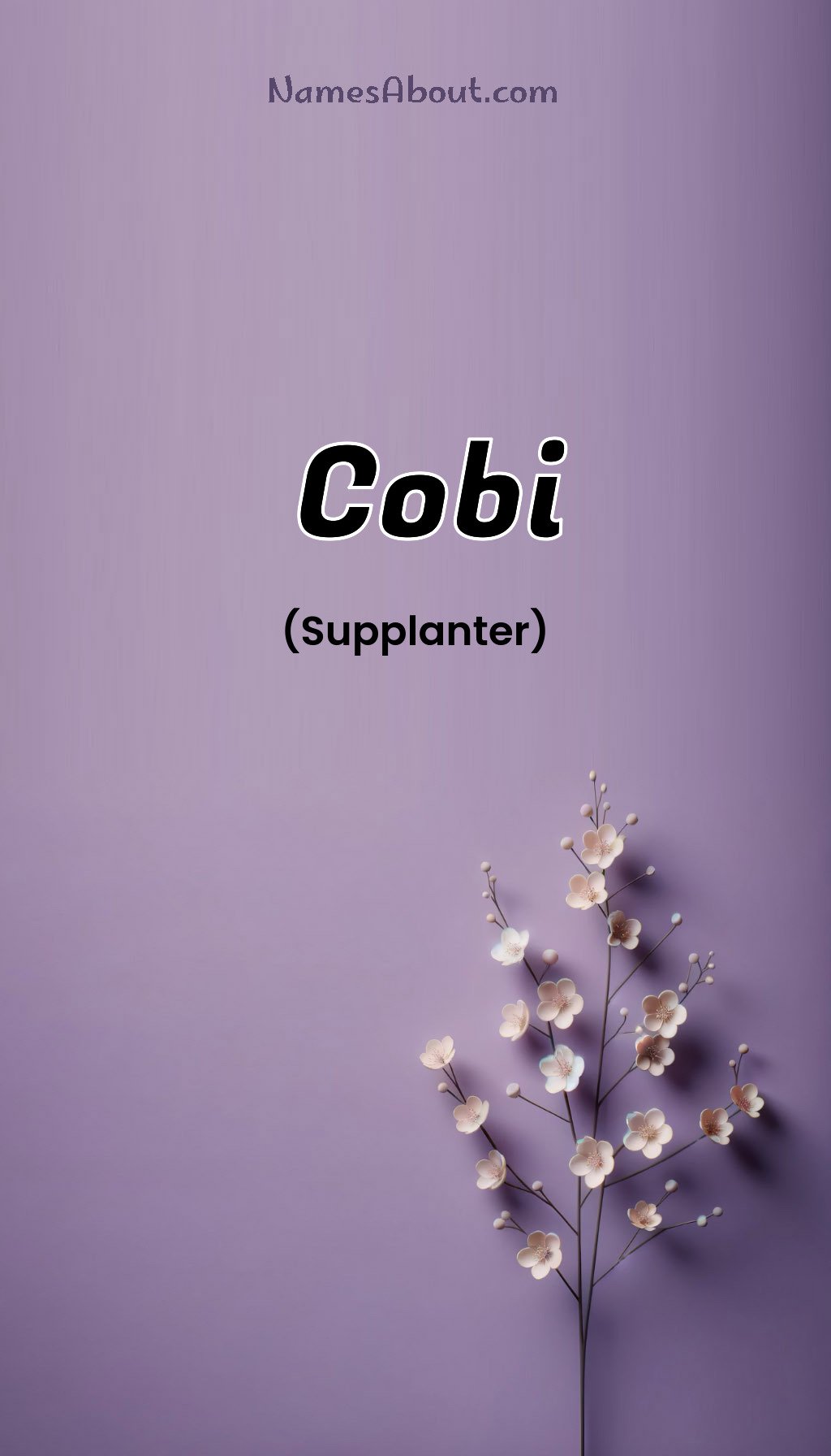 Cobi name and meaning