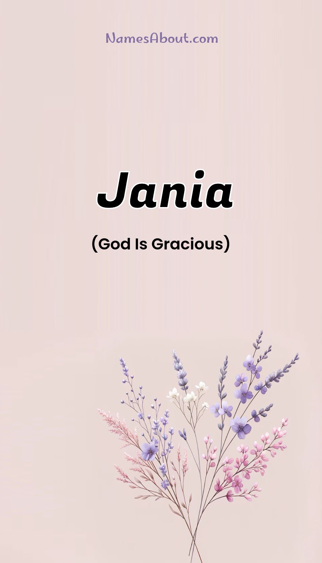 Jania name and meaning