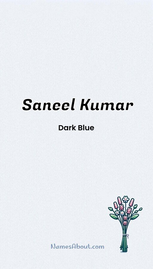 Meaning of Saneel kumar