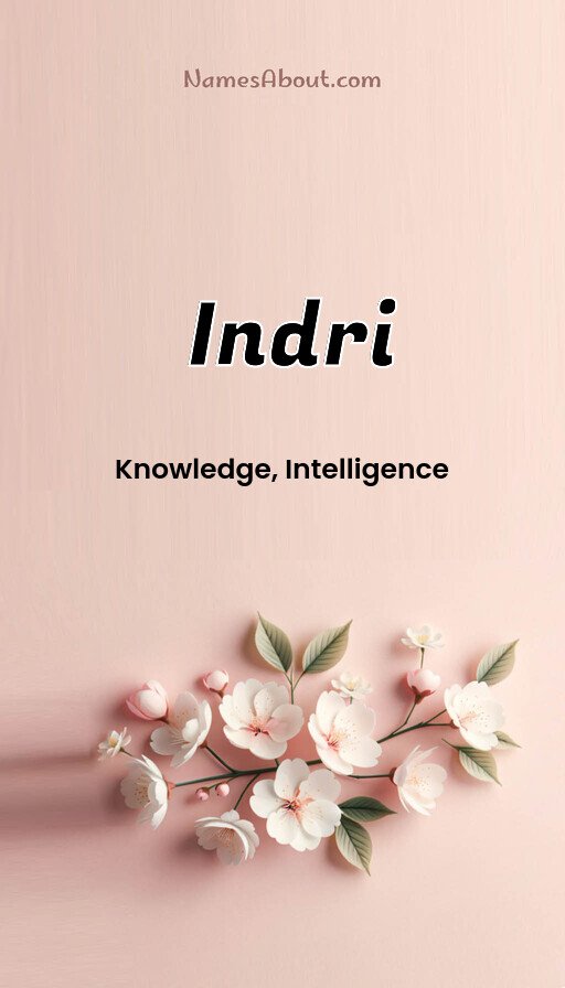 Meaning of Indri