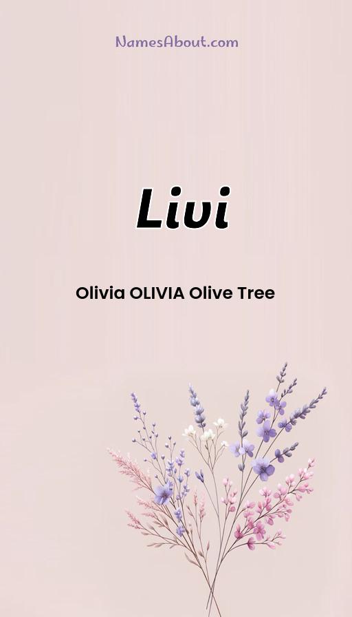 Meaning of Livi