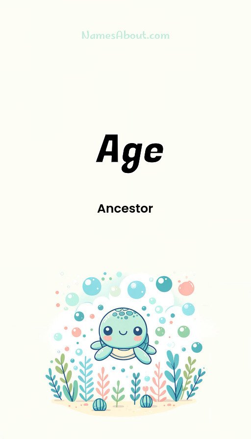 Meaning of Age