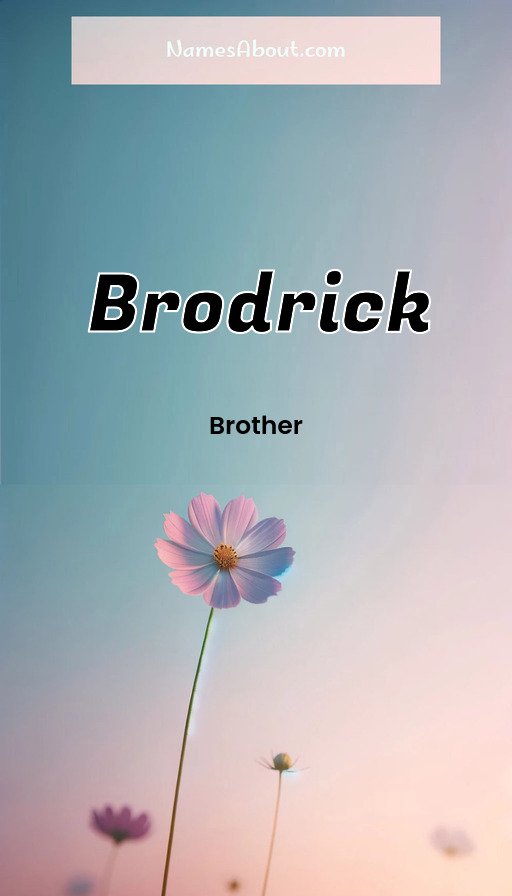 Meaning of Brodrick