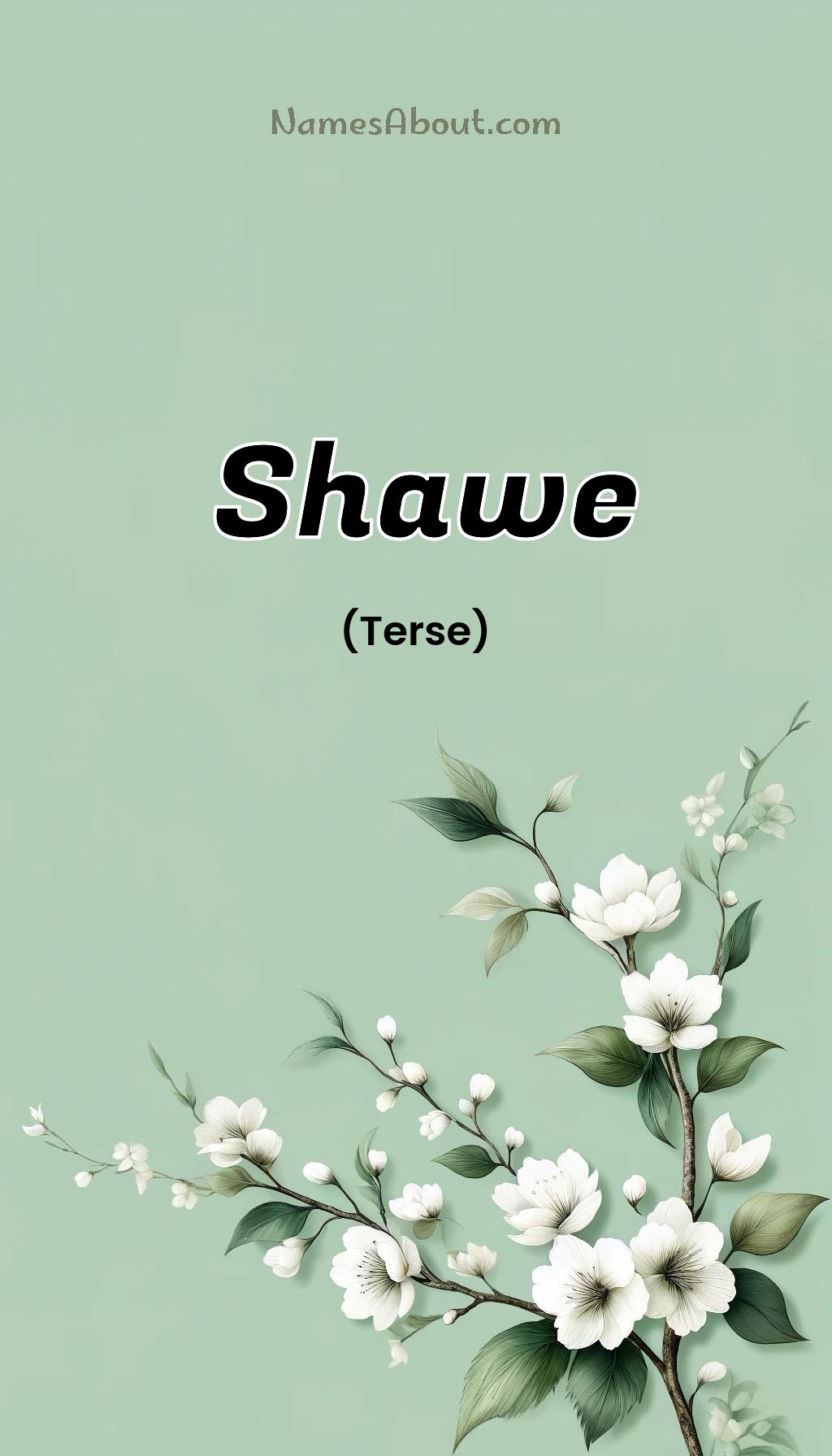 Shawe name and meaning