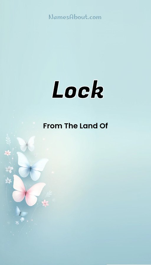 Meaning of Lock