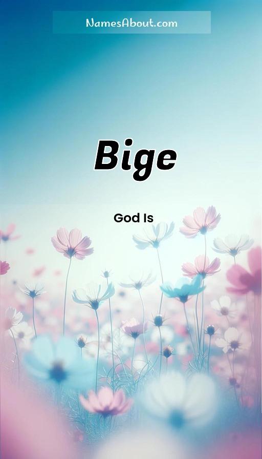 Meaning of Bige