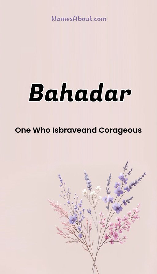Meaning of Bahadar