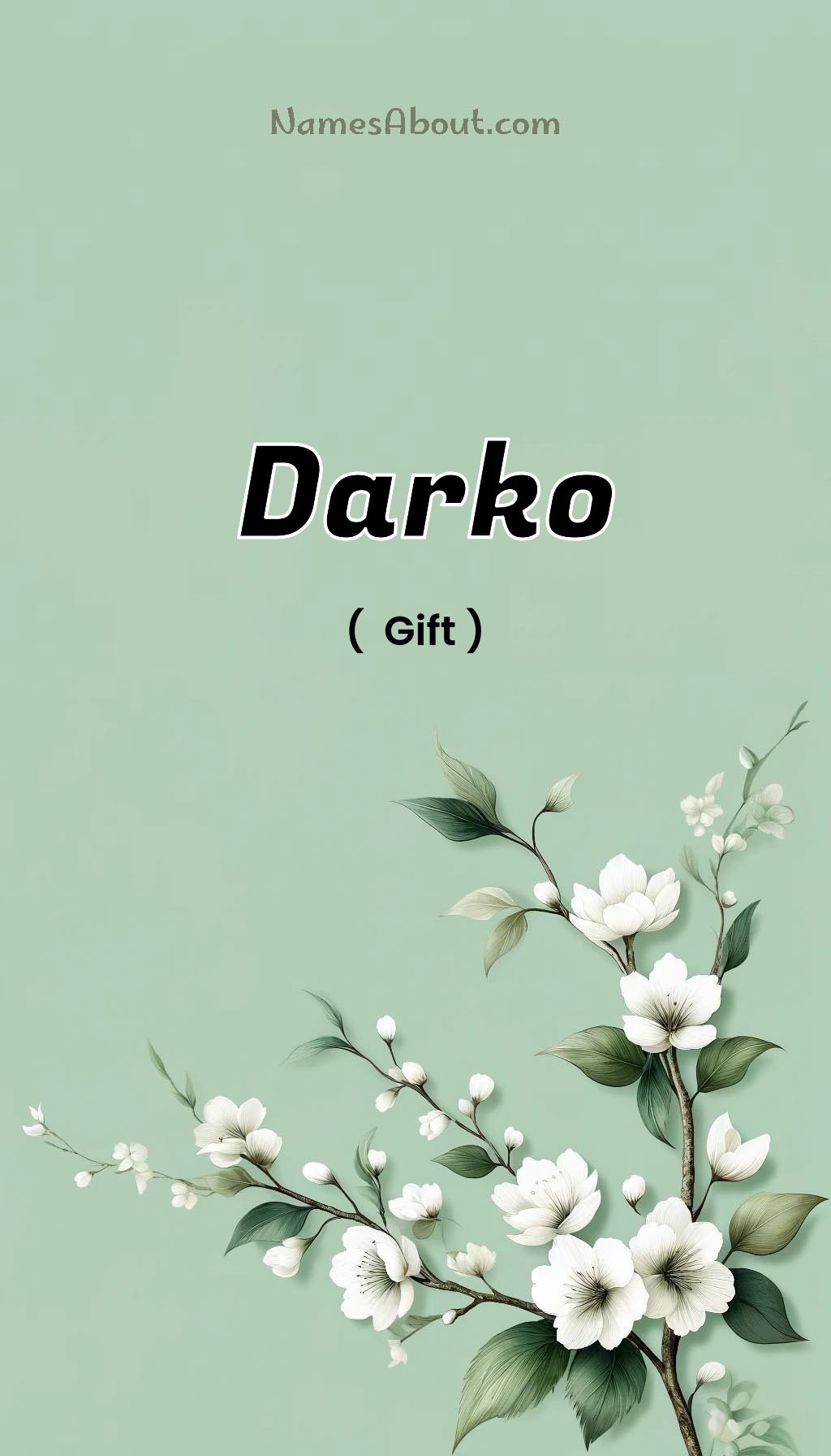 Darko name and meaning