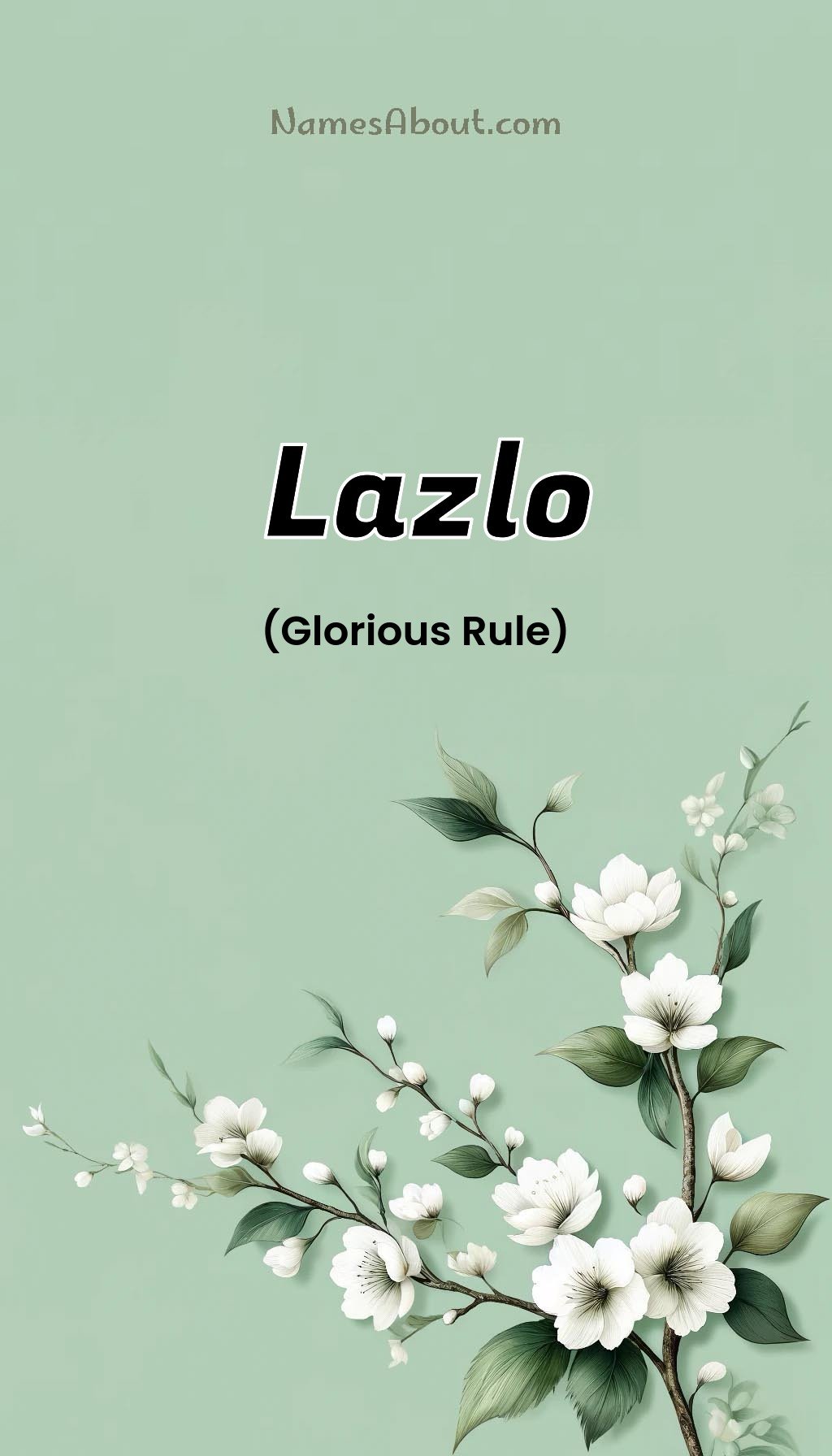 Lazlo name and meaning