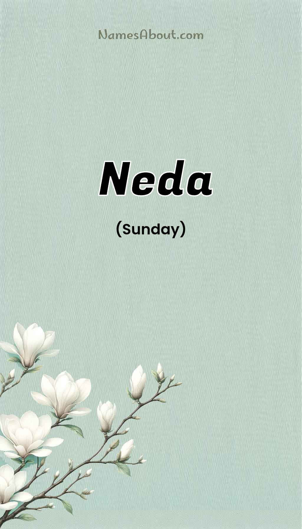 Neda name and meaning