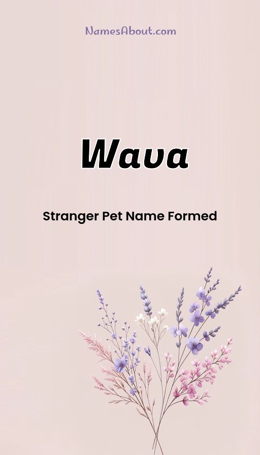 Meaning of Wava