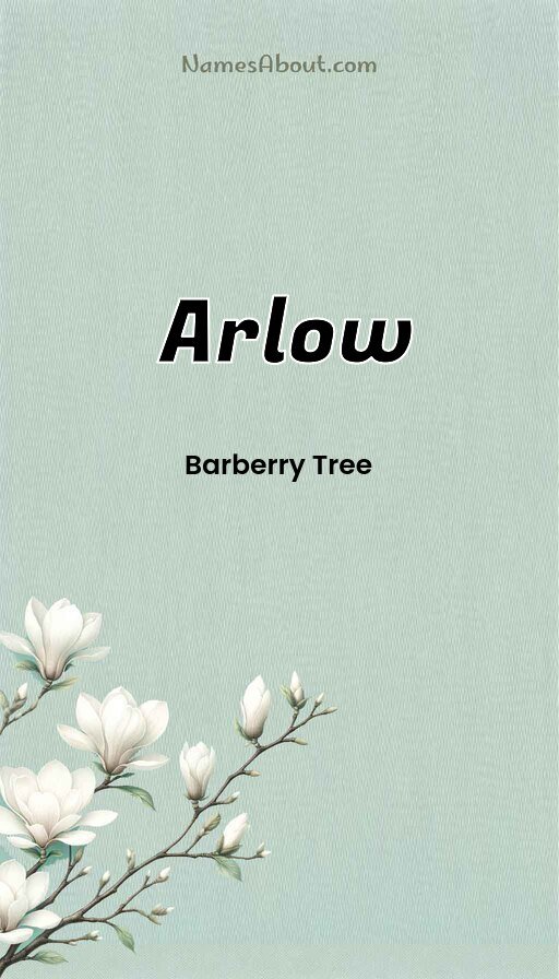 Meaning of Arlow
