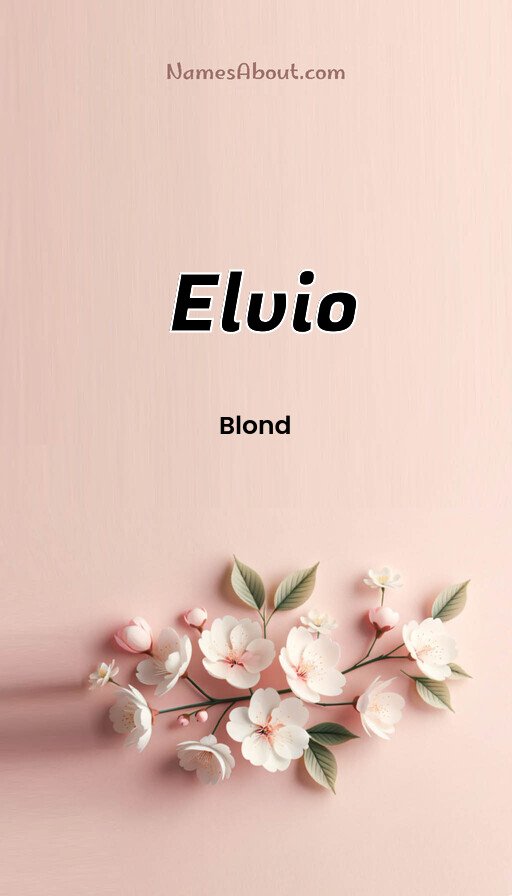 Meaning of Elvio