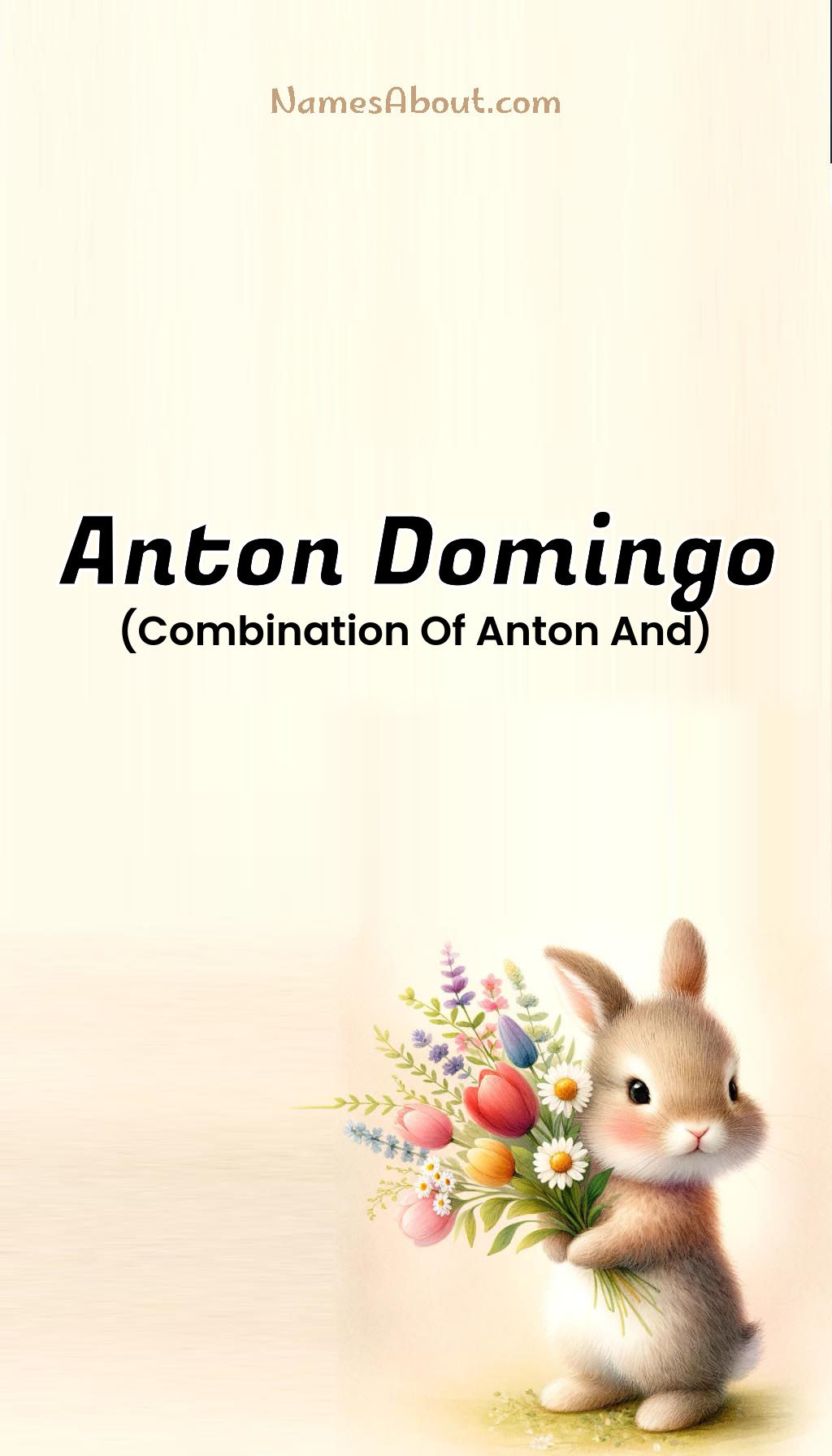 Anton domingo name and meaning