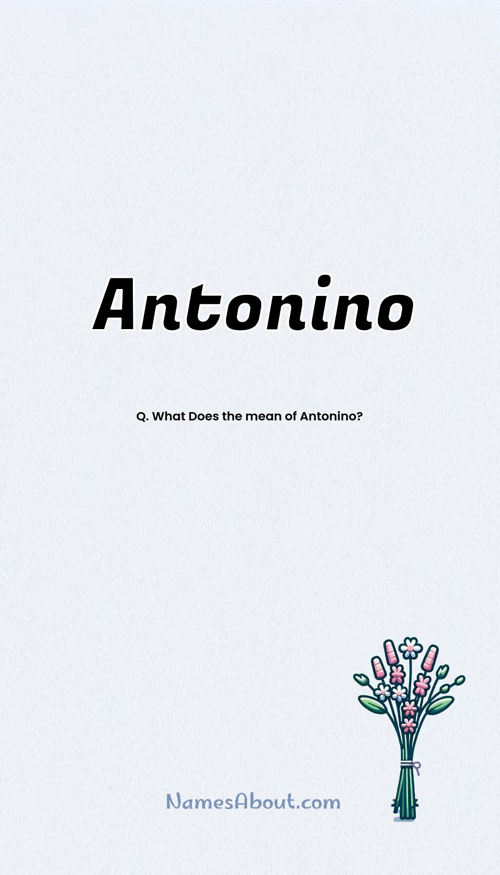 Antonino name and meaning