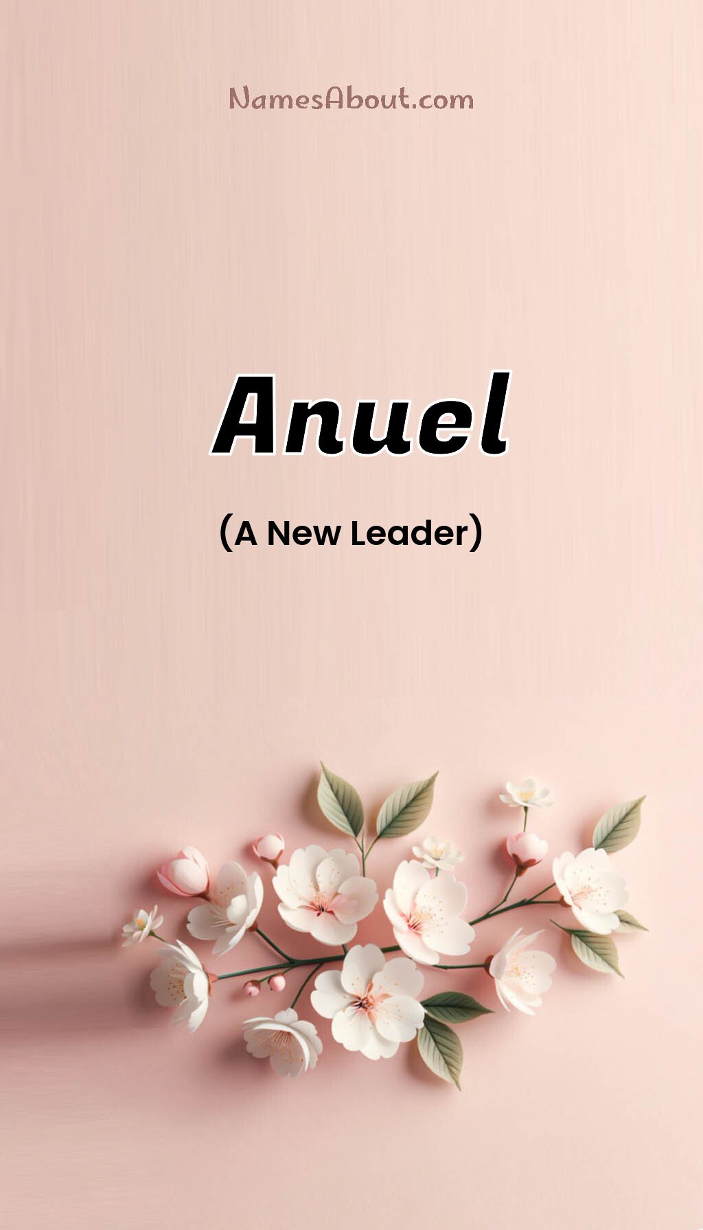 Anuel name and meaning