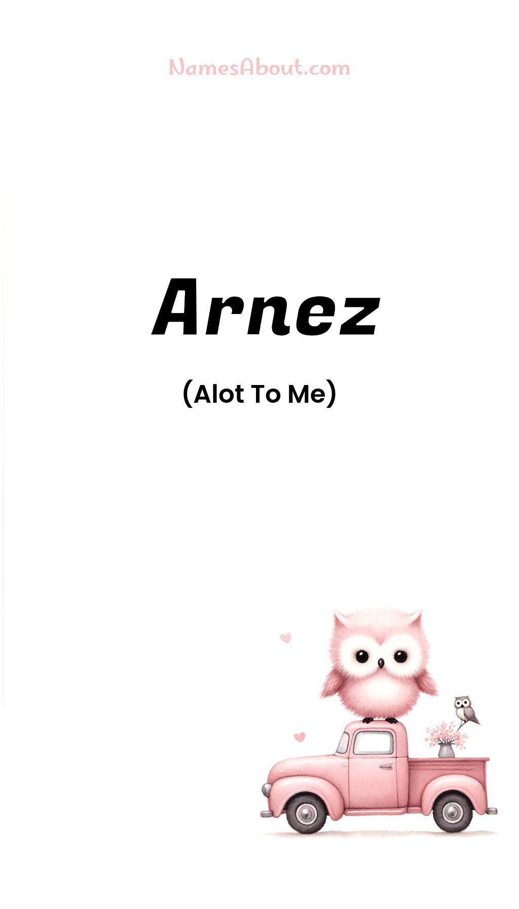 Arnez name and meaning