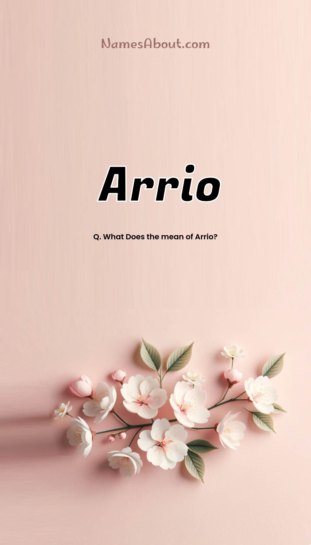 Arrio name and meaning