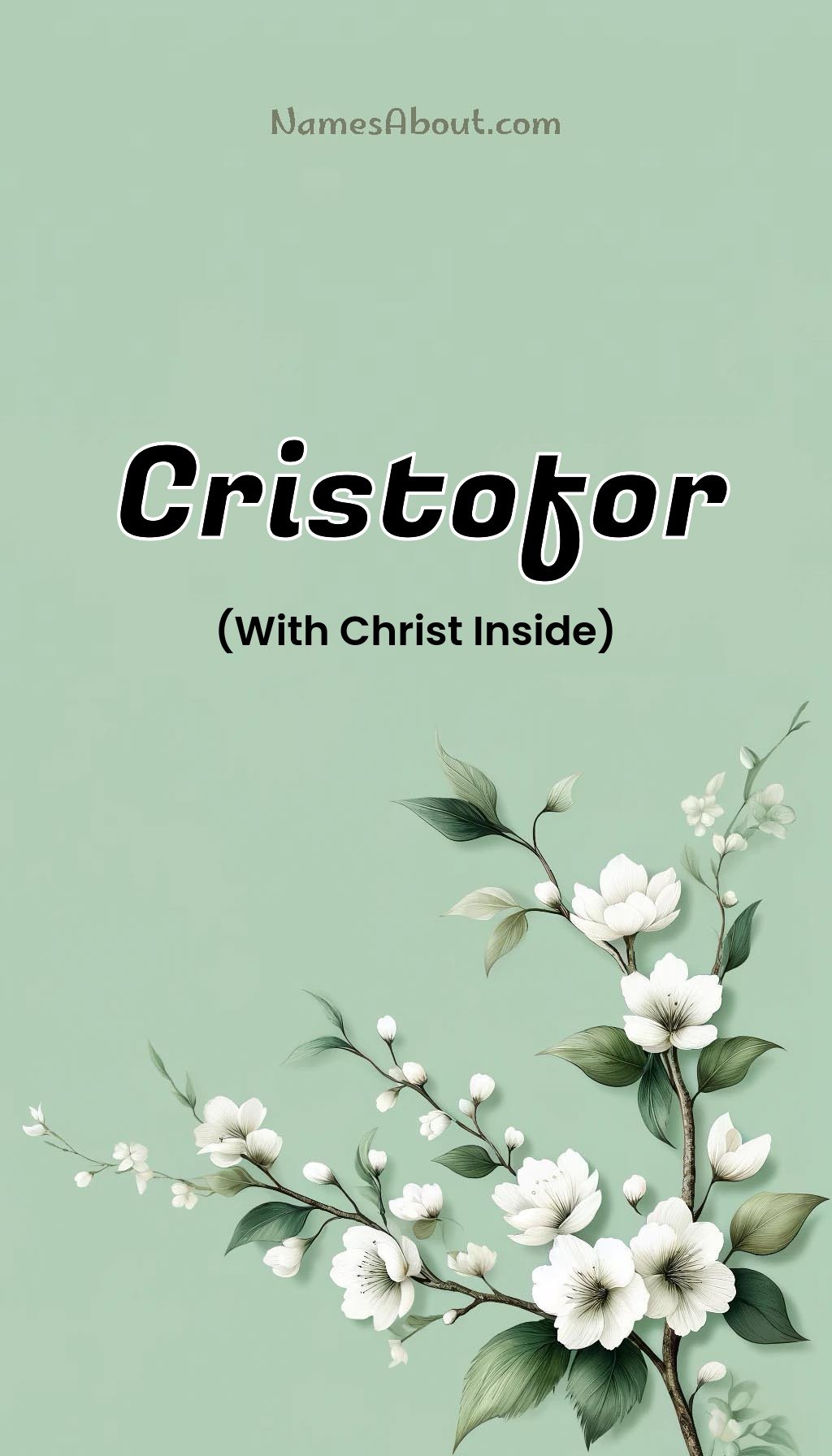 Cristofor name and meaning