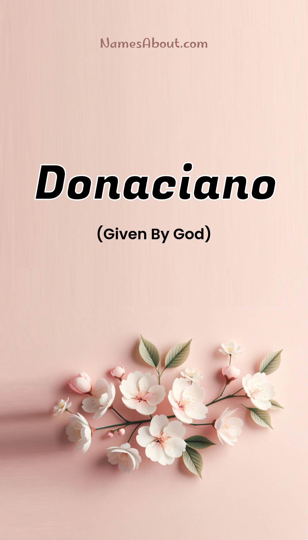 Donaciano name and meaning